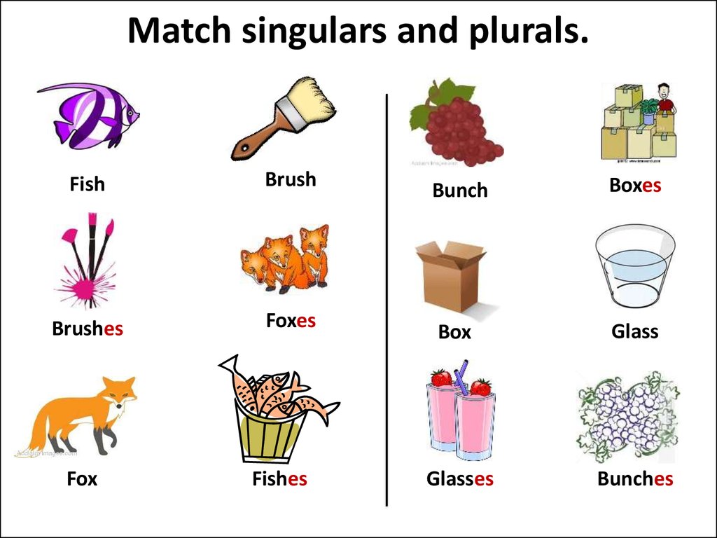 plural and singular